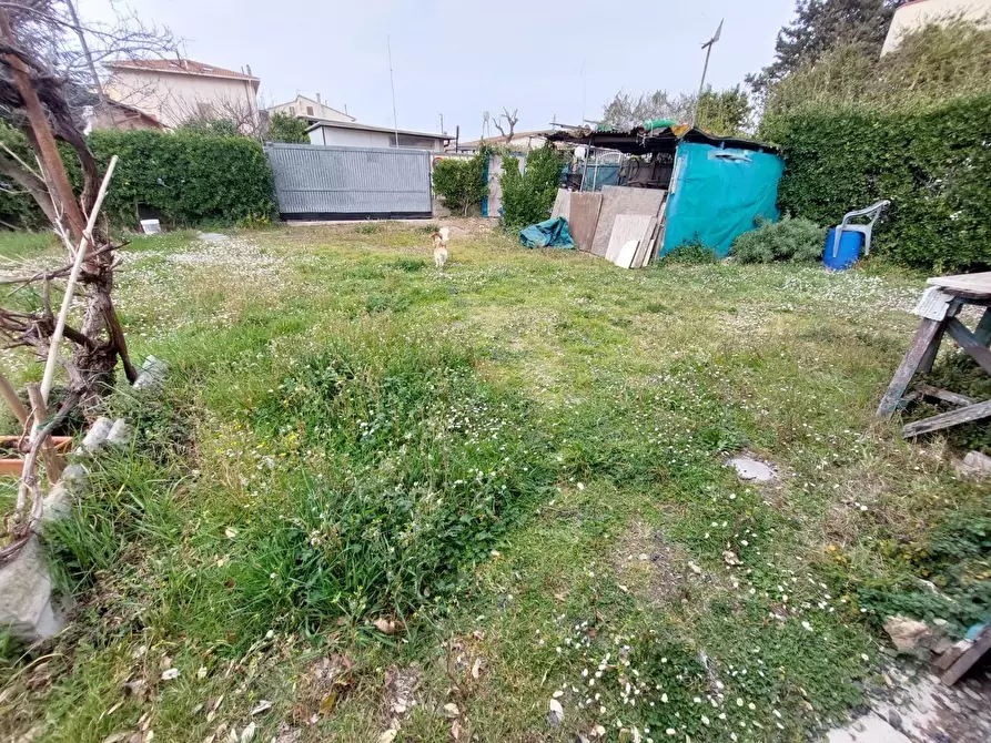 Immagine 32 di Casa bifamiliare in vendita  a Rosignano Marittimo