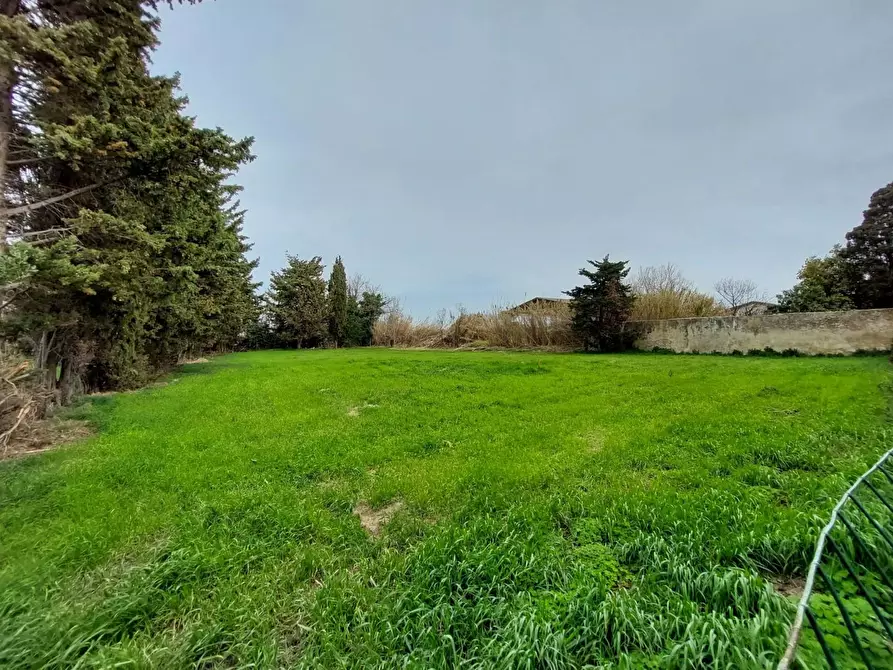 Immagine 31 di Casa bifamiliare in vendita  a Rosignano Marittimo