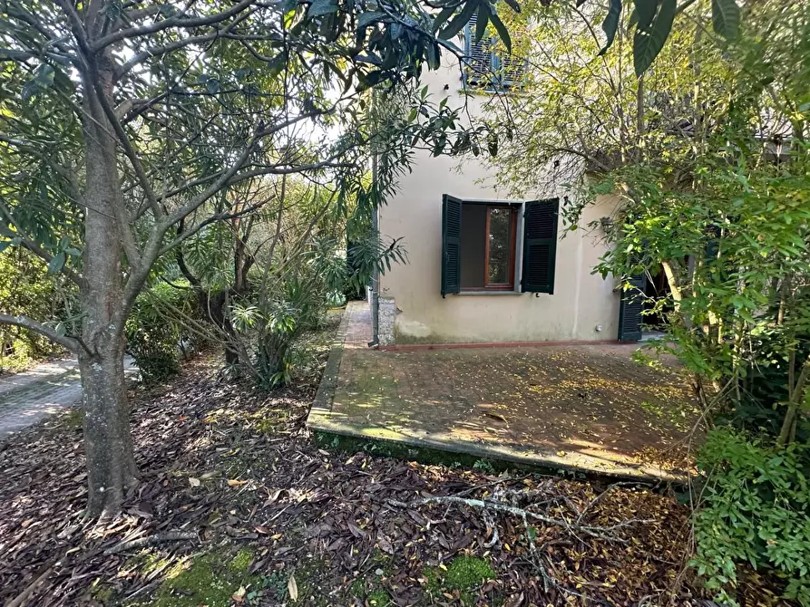 Immagine 25 di Terratetto in vendita  a Ameglia