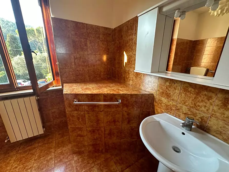 Immagine 34 di Terratetto in vendita  a Ameglia