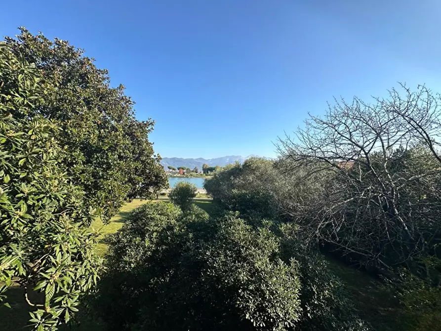 Immagine 10 di Terratetto in vendita  a Ameglia