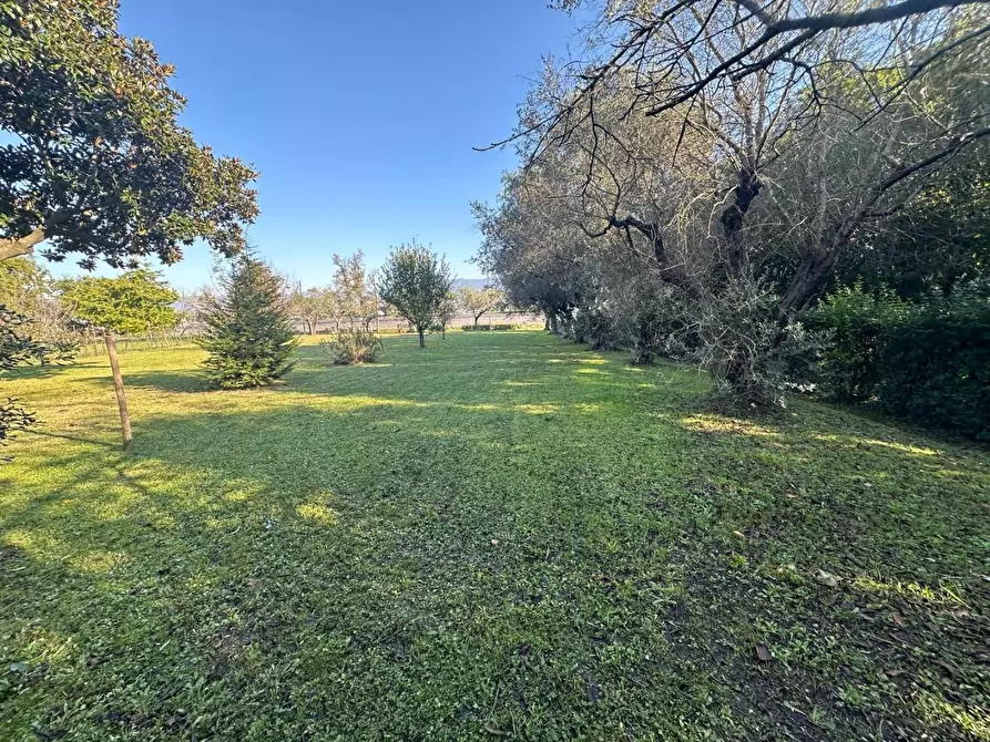 Immagine 23 di Terratetto in vendita  a Ameglia