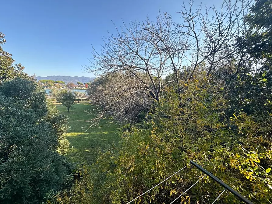 Immagine 36 di Terratetto in vendita  a Ameglia