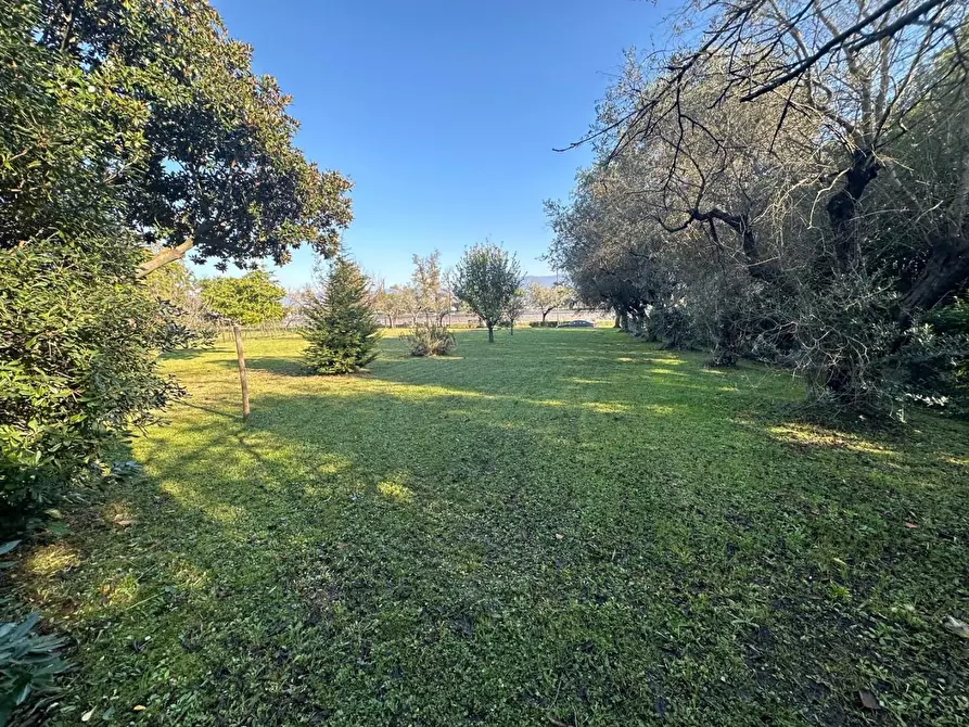 Immagine 24 di Terratetto in vendita  a Ameglia