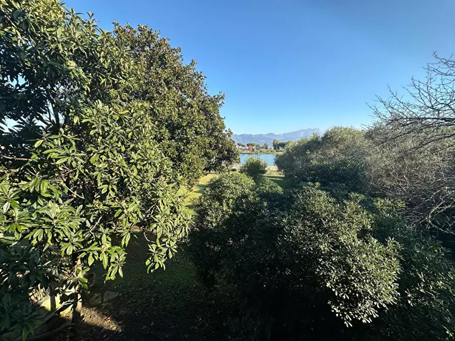 Immagine 11 di Terratetto in vendita  a Ameglia