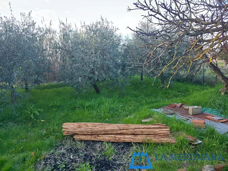 Immagine 30 di Appartamento in vendita  a Cerreto Guidi