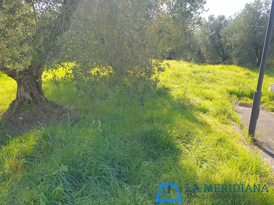 Immagine 5 di Terreno residenziale in vendita  a Lamporecchio