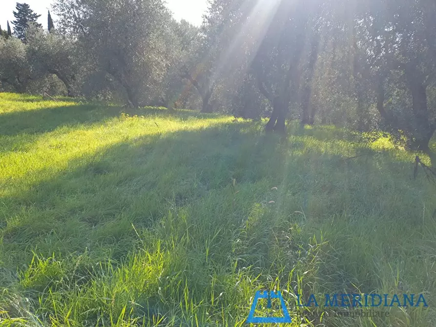 Immagine 7 di Terreno residenziale in vendita  a Lamporecchio