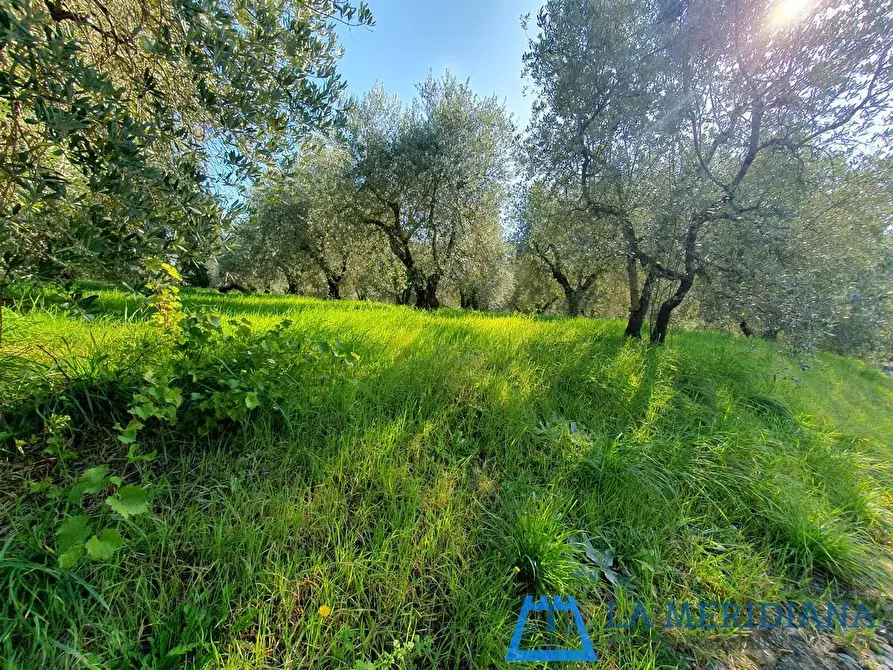 Immagine 2 di Terreno residenziale in vendita  a Lamporecchio