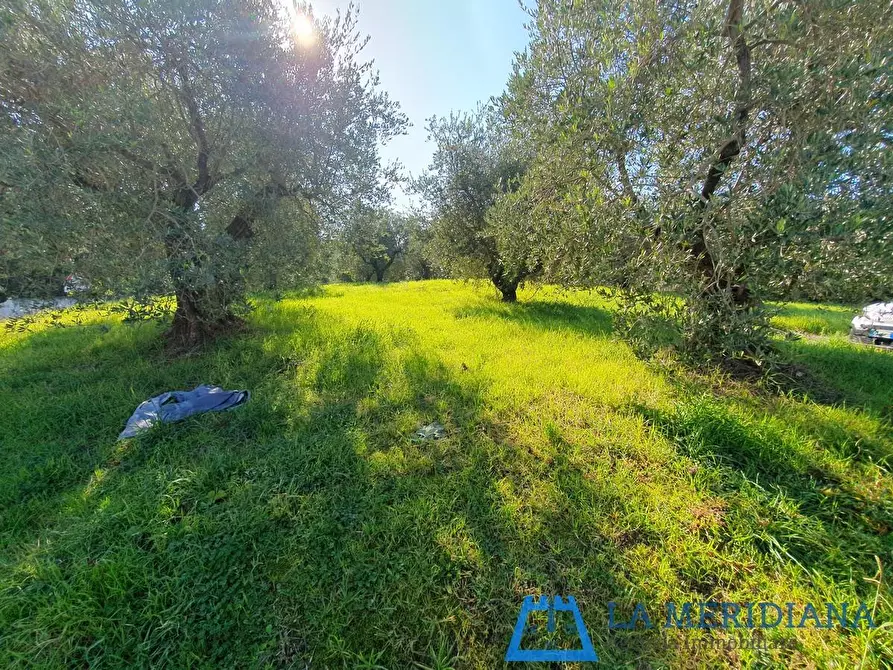 Immagine 3 di Terreno residenziale in vendita  a Lamporecchio