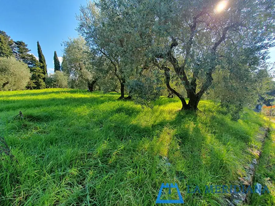 terreno edificabile in vendita a Lamporecchio