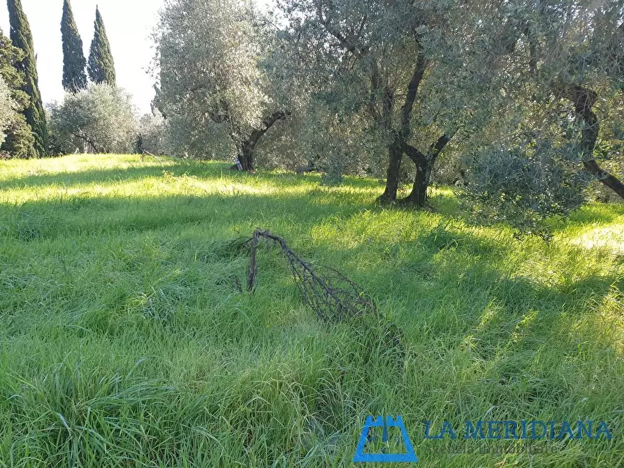 Immagine 4 di Terreno residenziale in vendita  a Lamporecchio