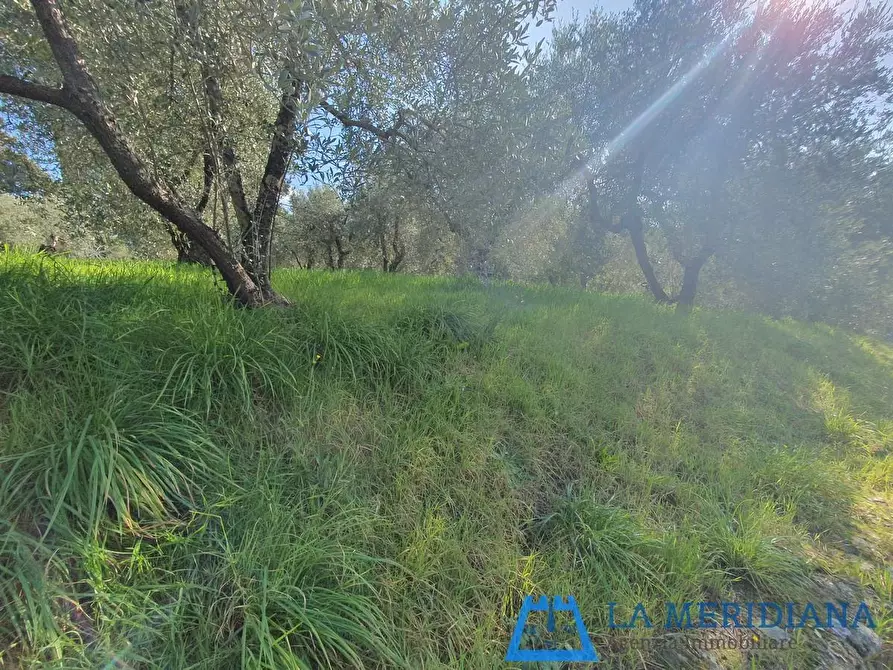 Immagine 6 di Terreno residenziale in vendita  a Lamporecchio