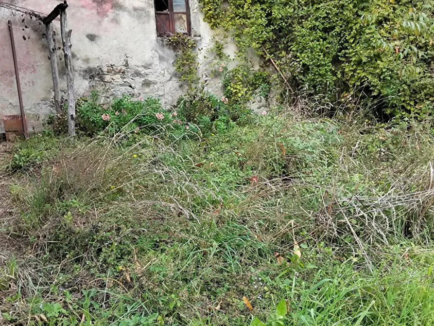 Immagine 4 di Porzione di casa in vendita  a Tresana