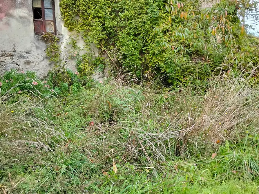 Immagine 3 di Porzione di casa in vendita  a Tresana