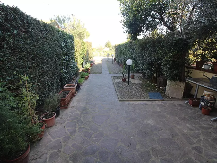 Immagine 28 di Appartamento in vendita  a Casciana Terme Lari