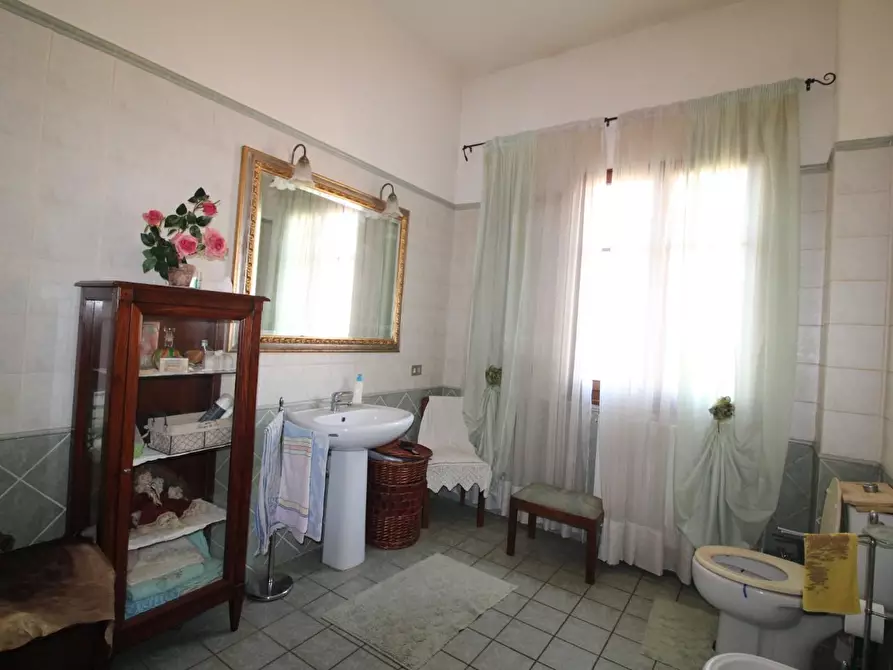 Immagine 20 di Appartamento in vendita  a Casciana Terme Lari