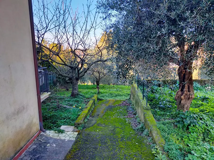 Immagine 34 di Villetta a schiera in vendita  a Massarosa