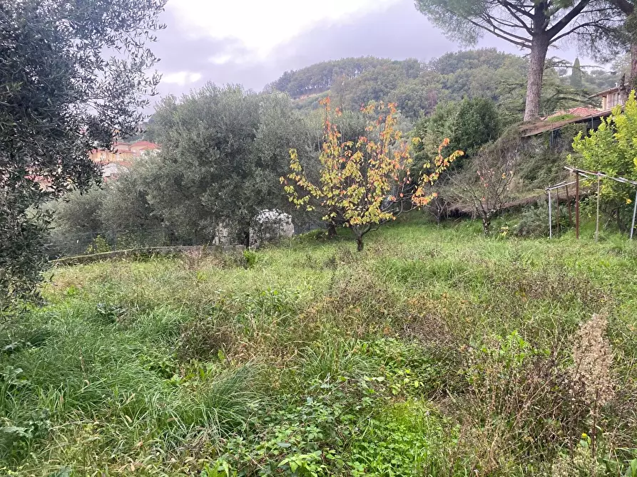 Immagine 20 di Villetta a schiera in vendita  a Massarosa