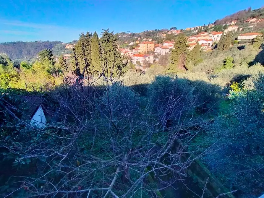 Immagine 28 di Villetta a schiera in vendita  a Massarosa