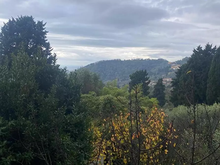 Immagine 5 di Villetta a schiera in vendita  a Massarosa