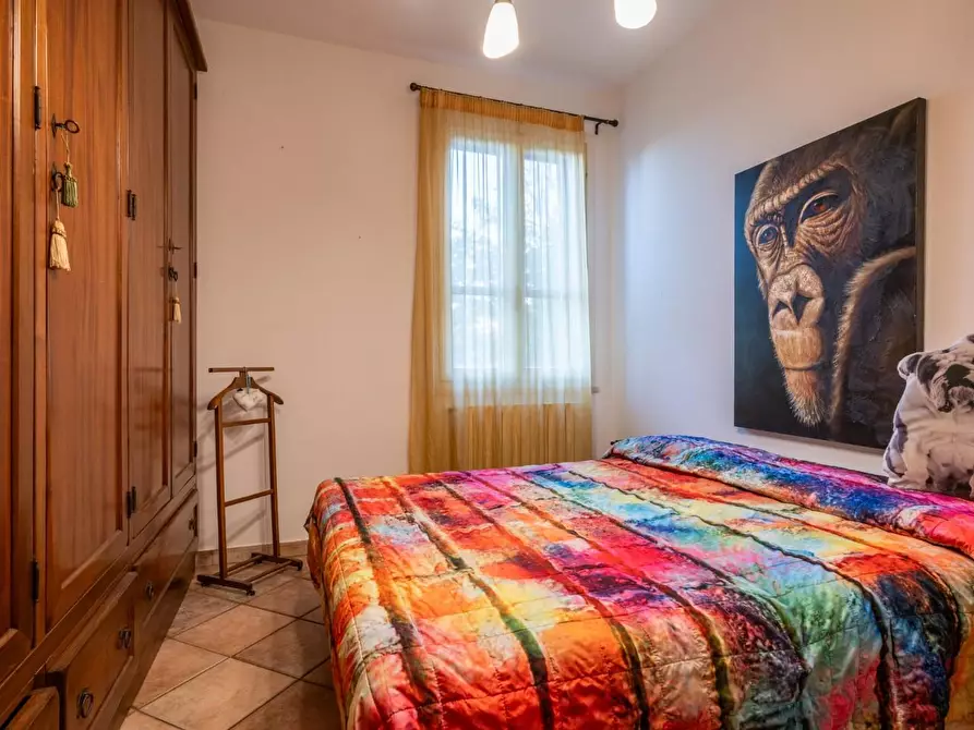 Immagine 25 di Casa bifamiliare in vendita  a Palaia