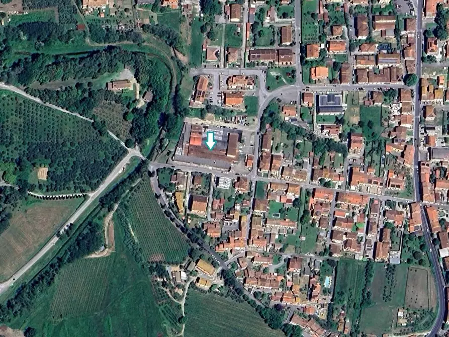 Immagine 2 di Capannone industriale in vendita  a Buti