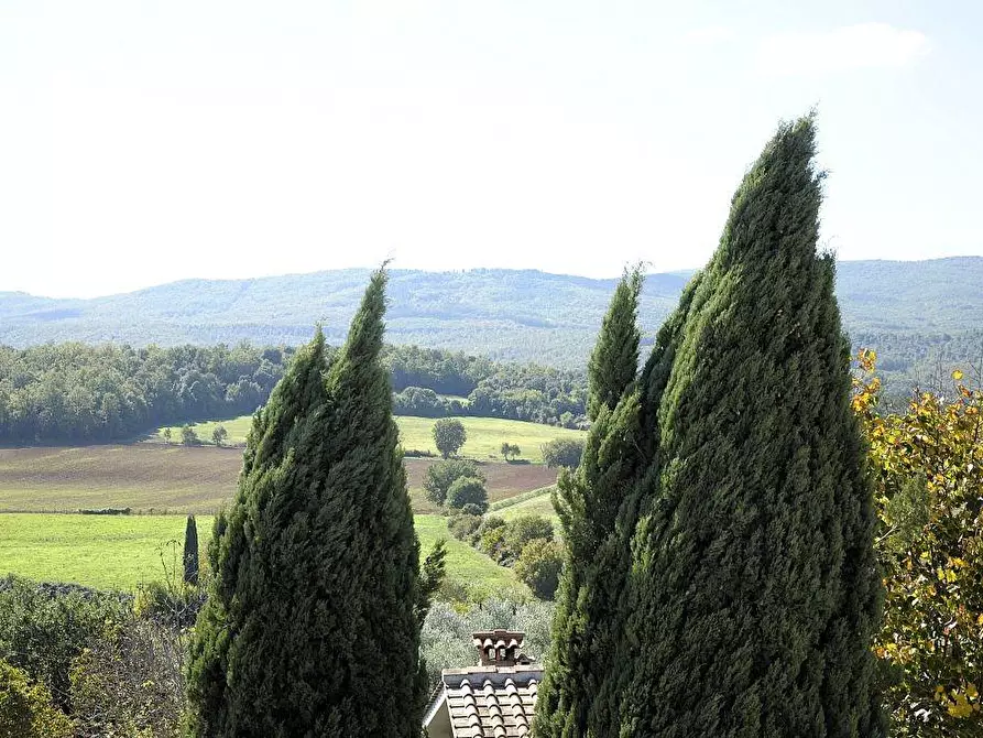 Immagine 10 di Appartamento in vendita  a Casole D'elsa