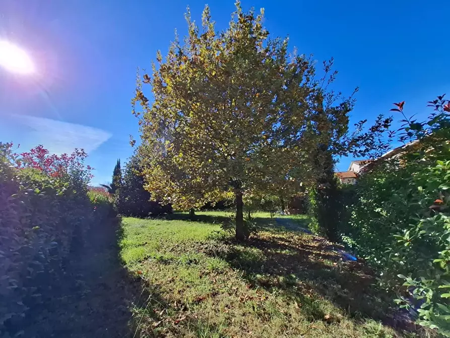 Immagine 2 di Villa in vendita  a Santa Croce Sull'arno