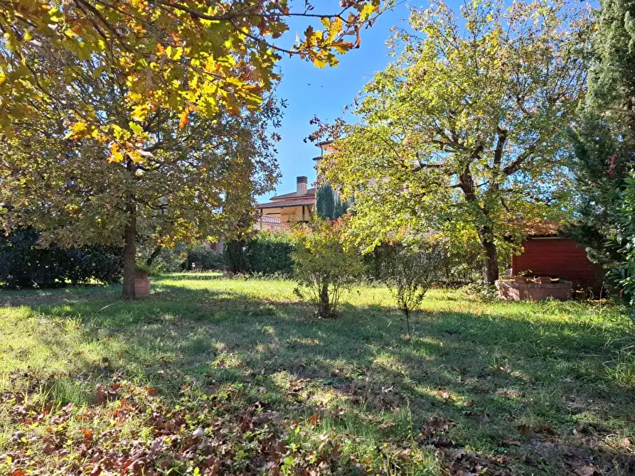 Immagine 3 di Villa in vendita  a Santa Croce Sull'arno