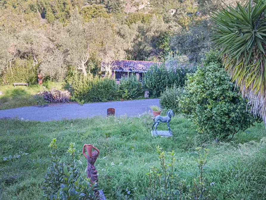 Immagine 17 di Villa in vendita  a Massa