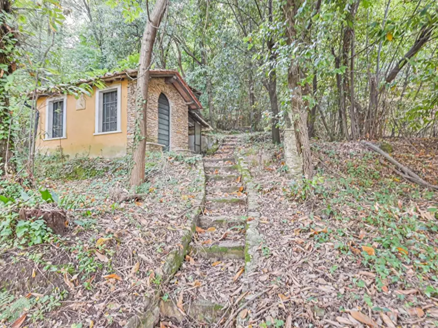 Immagine 14 di Villa in vendita  a Massa