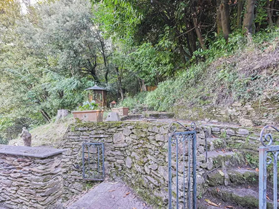 Immagine 13 di Villa in vendita  a Massa