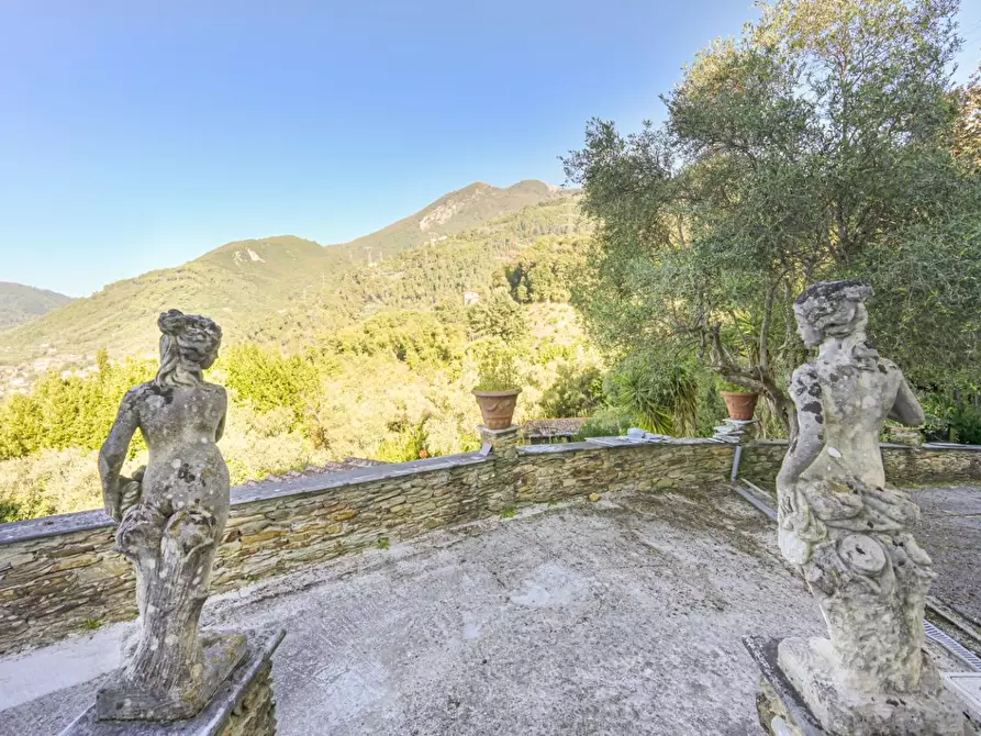 Immagine 2 di Villa in vendita  a Massa