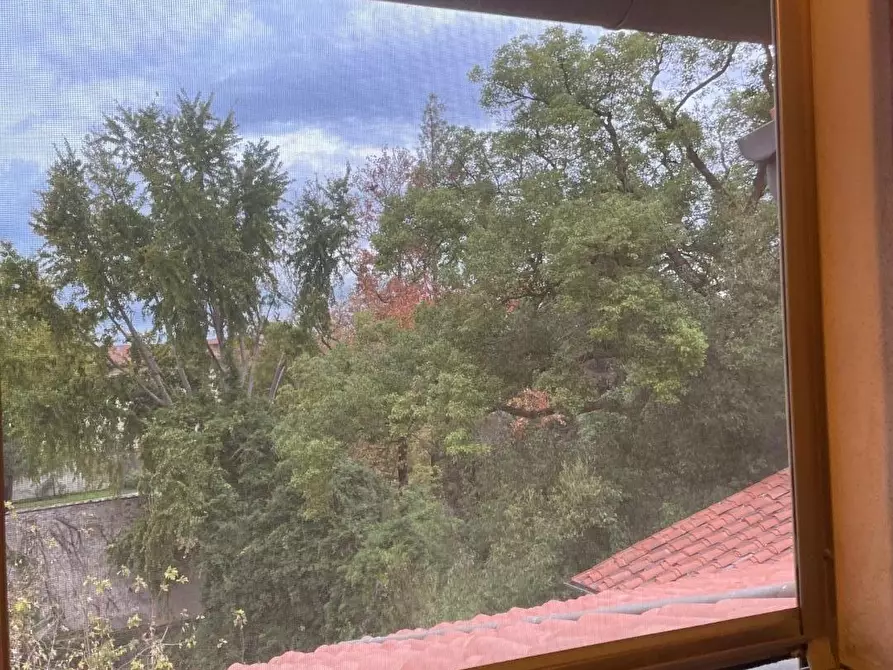 Immagine 6 di Appartamento in vendita  a Pisa