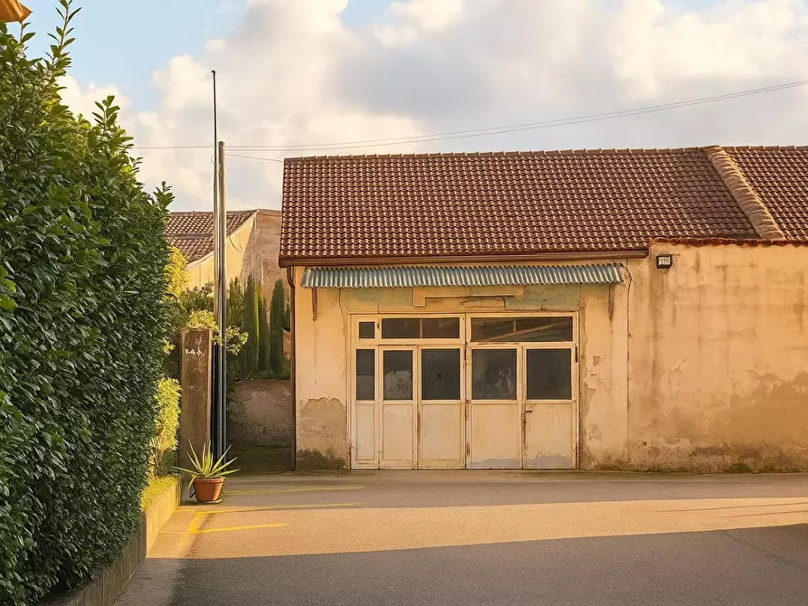 Immagine 2 di Terreno residenziale in vendita  a Pontedera