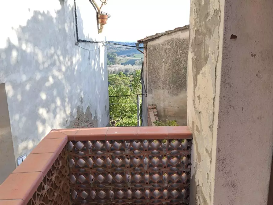 Immagine 17 di Terratetto in vendita  a Palaia