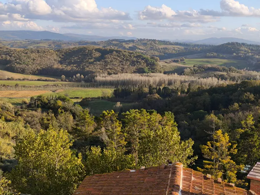 Immagine 31 di Terratetto in vendita  a Palaia