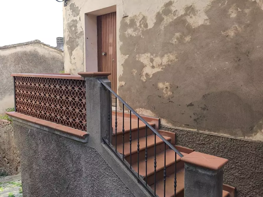 Immagine 29 di Terratetto in vendita  a Palaia