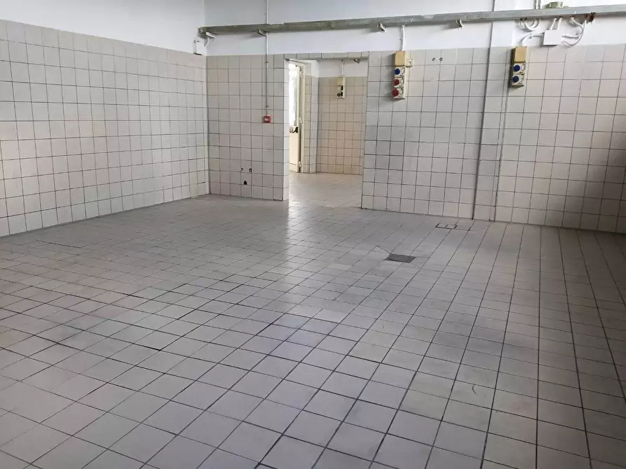 Immagine 2 di Laboratorio in affitto  a San Giuliano Terme