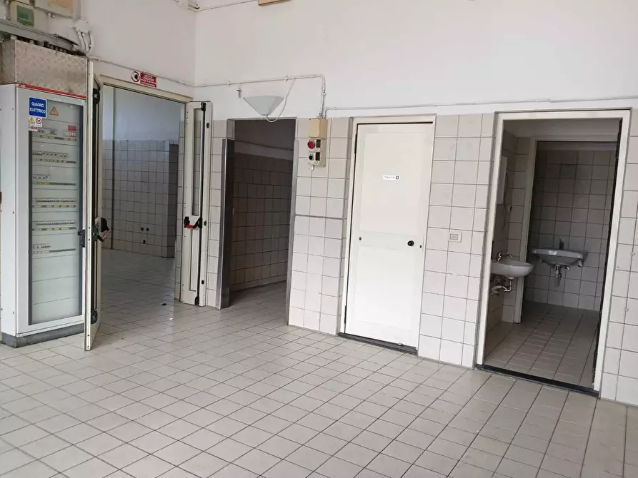 Immagine 7 di Laboratorio in affitto  a San Giuliano Terme