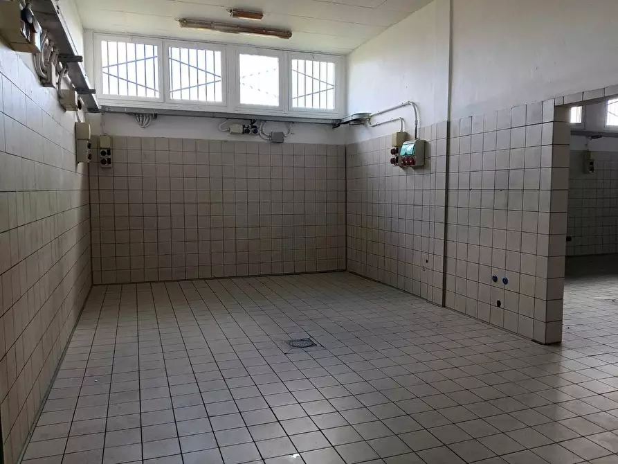 Immagine 3 di Laboratorio in affitto  a San Giuliano Terme