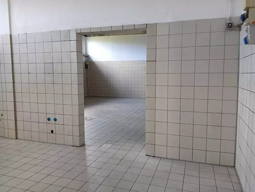 Immagine 8 di Laboratorio in affitto  a San Giuliano Terme