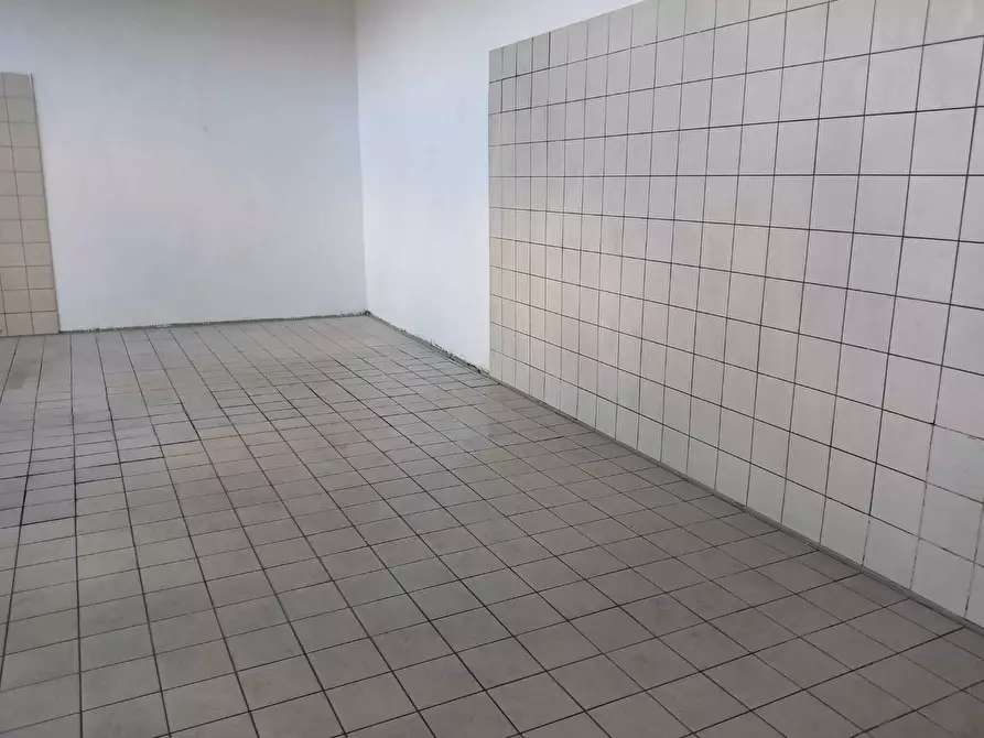 Immagine 4 di Laboratorio in affitto  a San Giuliano Terme