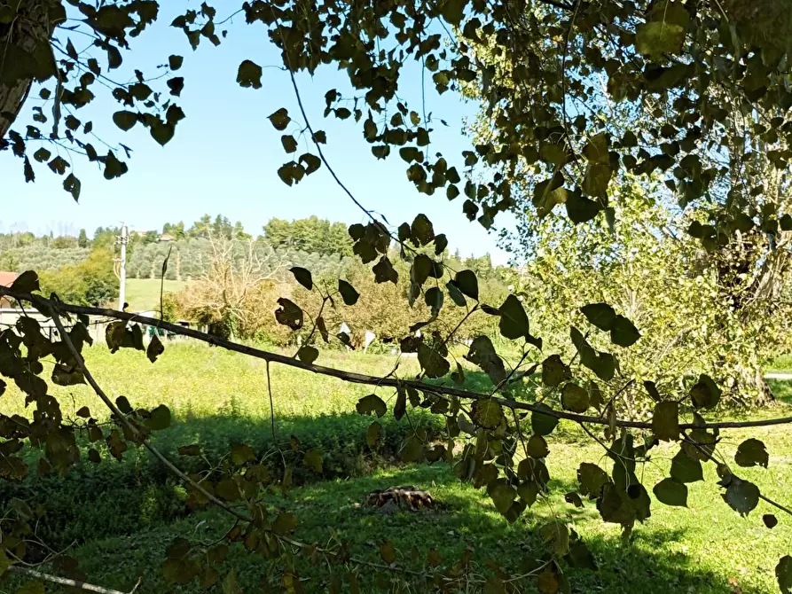 Immagine 18 di Casa indipendente in vendita  a San Miniato