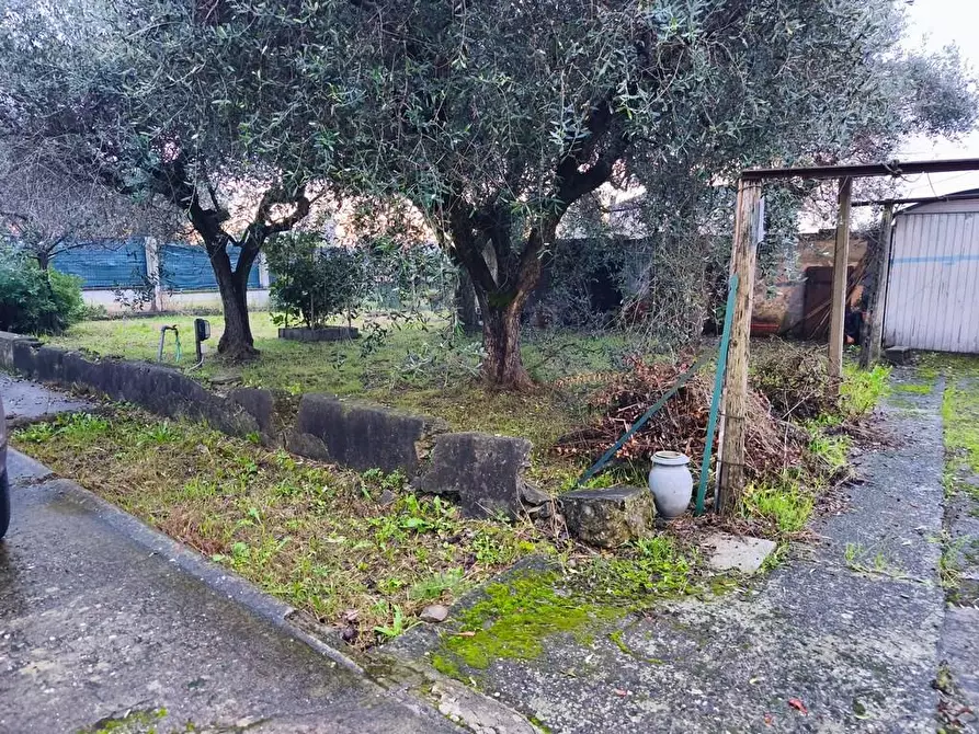 Immagine 14 di Casa semindipendente in vendita  a Ortonovo