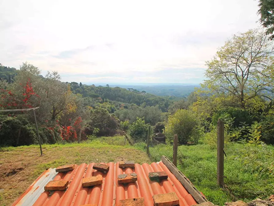 Immagine 28 di Terratetto in vendita  a Lamporecchio