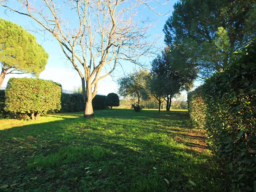 Immagine 24 di Casa bifamiliare in vendita  a Lamporecchio