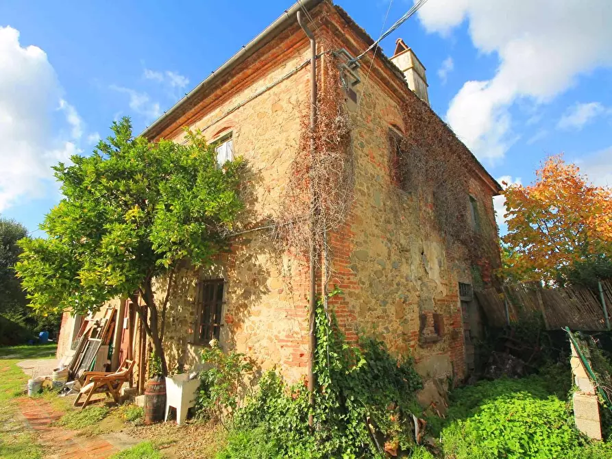 Immagine 18 di Casa colonica in vendita  a Vinci