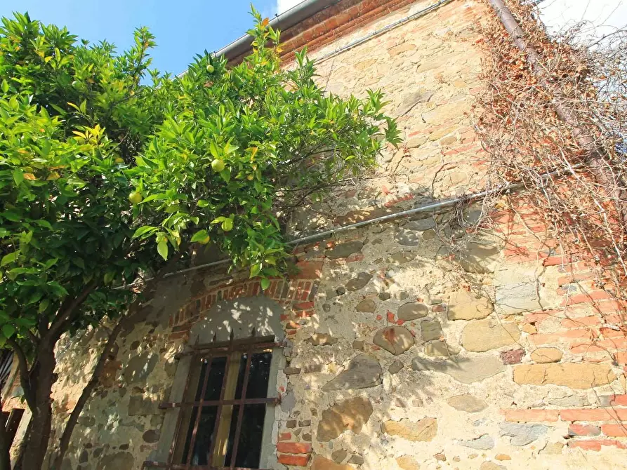 Immagine 2 di Casa colonica in vendita  a Vinci